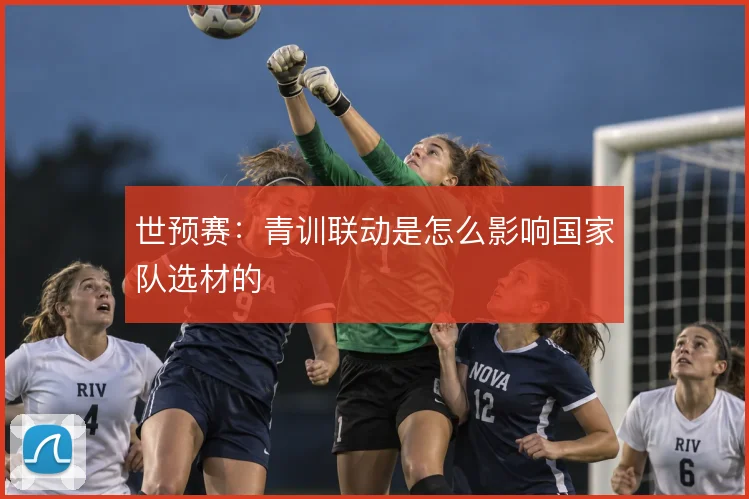 世预赛：青训联动是怎么影响国家队选材的