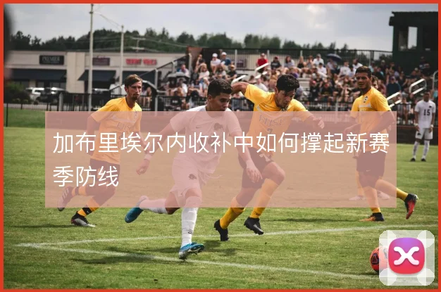 加布里埃尔内收补中如何撑起新赛季防线